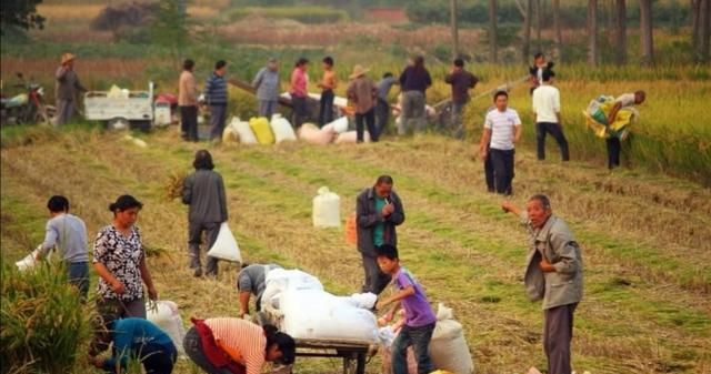 感恩遇见的简短句子,感谢经理的短句子?图12