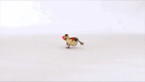 100种好看的美鞋（今年又是谁称霸前三位呢）(2)