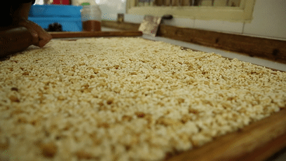 玉林好吃的狗肉推荐(别只知道在玉林吃狗肉)(8)