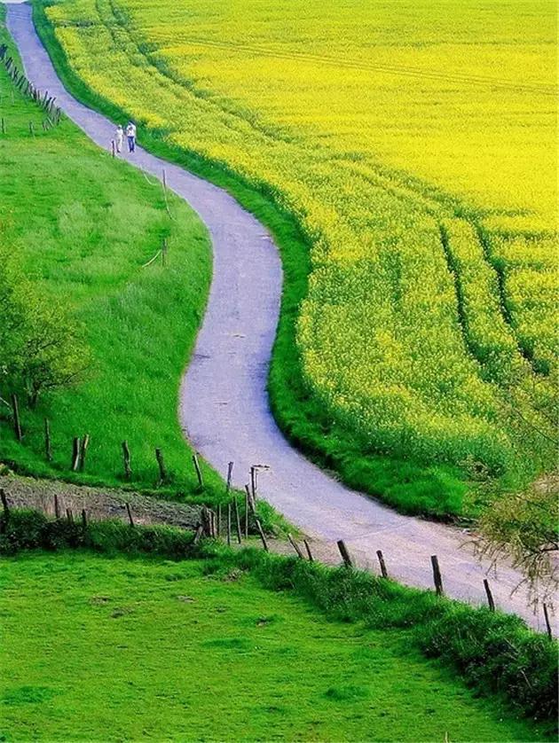 欲将我心向明月奈何明月照沟渠（明月奈何向沟渠）(2)