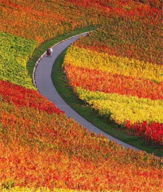 欲将我心向明月奈何明月照沟渠（明月奈何向沟渠）(1)