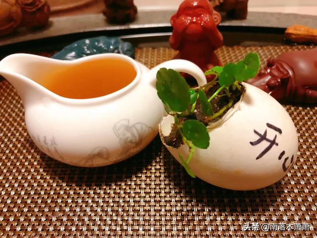 最好的代餐奶昔（分享健康瘦身方式）(15)