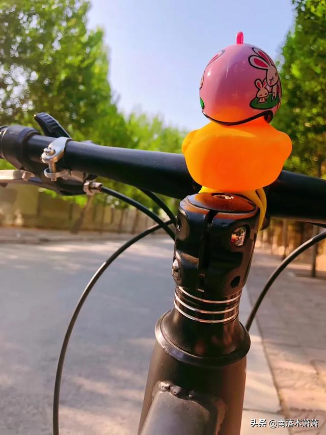 最好的代餐奶昔（分享健康瘦身方式）(11)