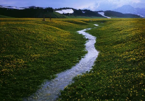 涓涓潺潺怎么读,涓涓怎么读图3