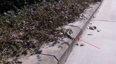 大连道牙子语音,东北宝妈到底是什么样的人图7