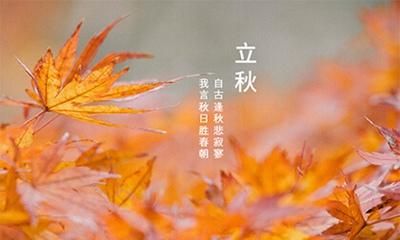 几号暑伏几号立秋