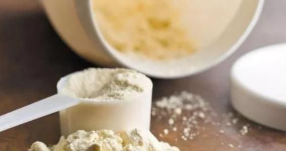蛋白粉用冷水泡行吗