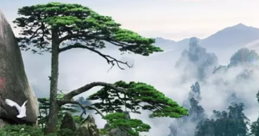 中国的世界文化遗产有哪些 资料,介绍中国的世界文化遗产作文500字图8