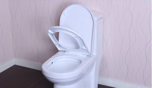 马桶堵住了该怎么疏通最简单方法,坐马桶堵了疏通的最简单方法小苏打图1