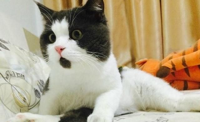 祁天道被判几年，快手网红祁天道被判几年啦？图4