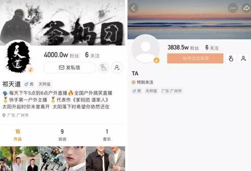 曾经的快手人气王，祁天道夫妇以诈骗罪被判处有期徒刑四年八个月，大家怎么看