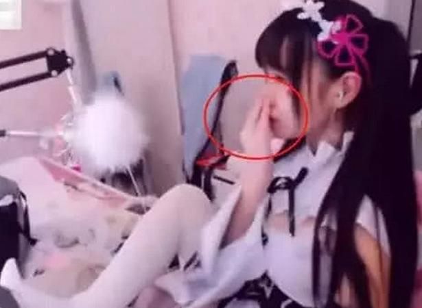 赛高什么意思狐狸姐姐赛