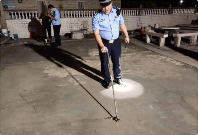 蛇的天敌食蛇鼠（五只老鼠勇斗一条银环蛇）(1)