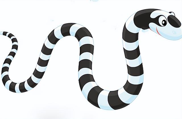 蛇的天敌食蛇鼠（五只老鼠勇斗一条银环蛇）(2)