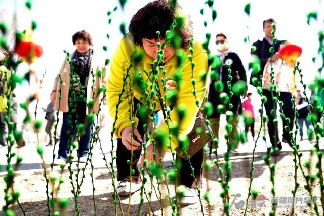 宝鸡户外踏青攻略（天山）(7)