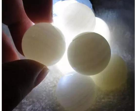 如何认识砗磲（生活中常见白砗磲的3点知识）(3)