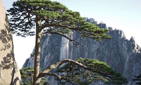 中国的名山大川,我国有哪些名山大川图2