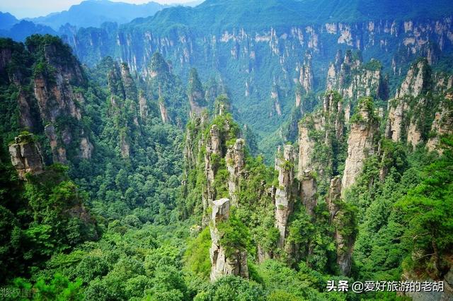 自驾游张家界去哪里好耍（五一假期1000元自驾游张家界）(10)