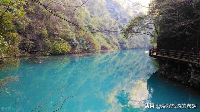 自驾游张家界去哪里好耍（五一假期1000元自驾游张家界）(4)