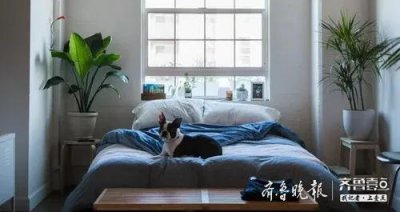 ​怎样选择好的床垫（4个挑选床垫的重点要知道）