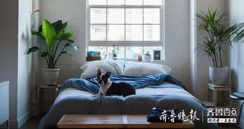 怎样选择好的床垫（4个挑选床垫的重点要知道）(1)