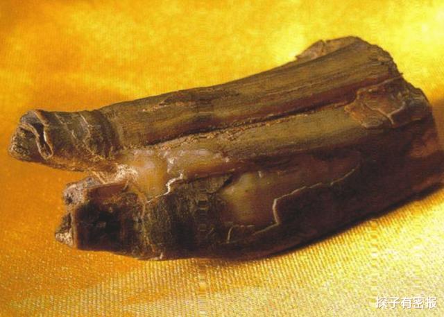 舍利子到底是啥形成的（以科学的角度来看）(2)