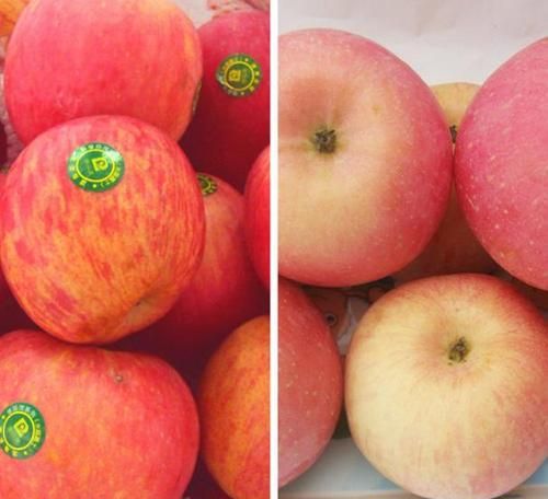 苹果酸是什么东西