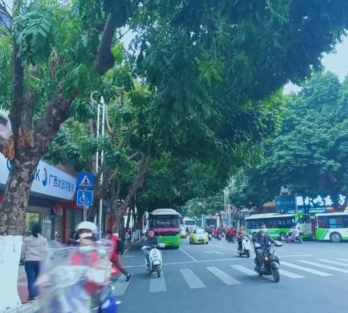 武鸣大学城美食街那边可以停小黄车吗