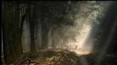 亮晶晶一样的词语，有没有像亮晶晶一样的词语？图6