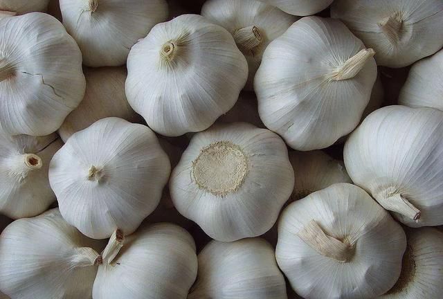 去皮的大蒜可以冷冻吗，新鲜大蒜可以抽真空冷冻保存吗？图3
