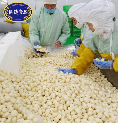 新鲜大蒜可以抽真空冷冻保存吗