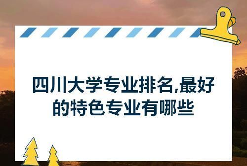 四川大学的王牌专业