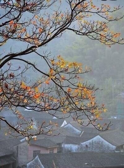 形容比较安静的成语有哪些