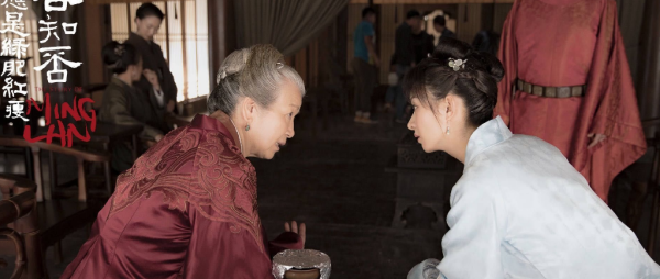 知否知否应是绿肥红瘦汴京是哪里,免费观看电视剧《知否知否应是绿肥红瘦》图5