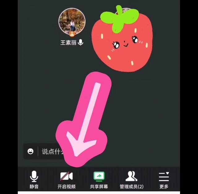 腾讯会议使用详细教程（如何使用腾讯会议）(4)