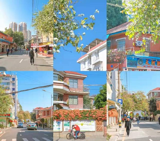 厦门游玩攻略3天（经验告诉你厦门三天怎么玩）(9)