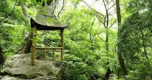 武汉周边自驾三日游旅游最佳景点（武汉适合周边自驾游的5个目的地）(8)