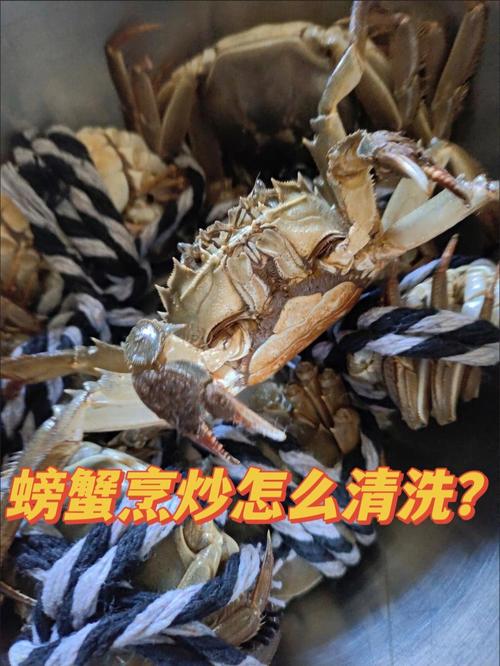 螃蟹的刷洗方法（清洗螃蟹的正确方法）