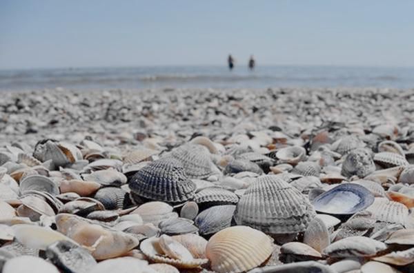 贝壳有哪些中介公司