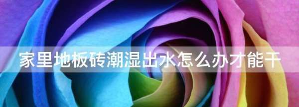 夏天地板砖上有水珠怎么办,屋里地板砖潮湿怎么办图1