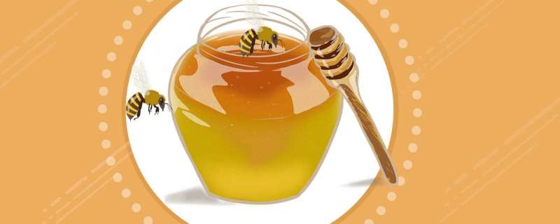 蜂蜜柚子茶什么时候喝合适