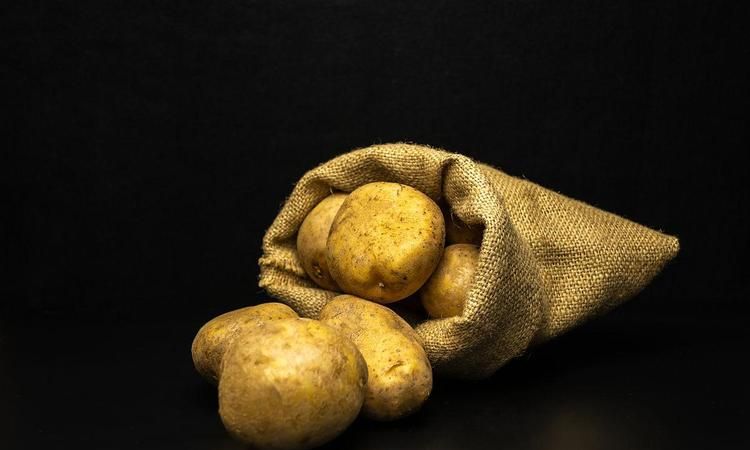 土豆中心有黑色斑点怎么回事