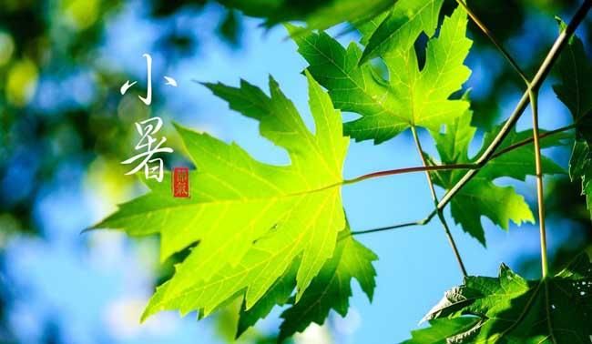 惊蛰夏至霜降冬至分别是什么时候