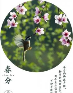 ​春分天气，春分天气晴是什么意思？