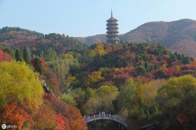 ​高中语文第一课内容（高中语文课本开篇第1课）