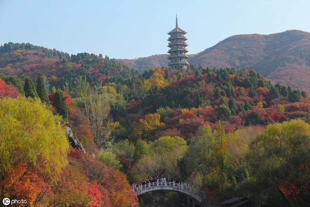 高中语文第一课内容（高中语文课本开篇第1课）(1)