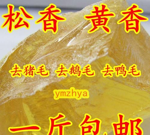 怎样用松香除猪毛
