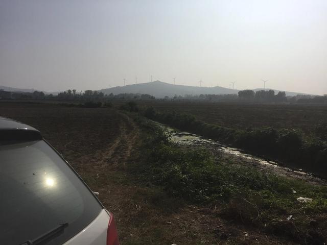 农历9月19是观音菩萨成道日（观音菩萨的生日）(6)