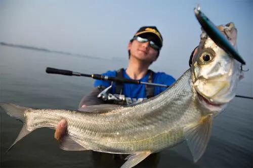 路亚史上最强鱼（国内路亚的八种主要目标鱼及其分布）(1)