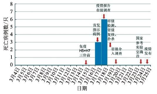 疾病三间分布是什么